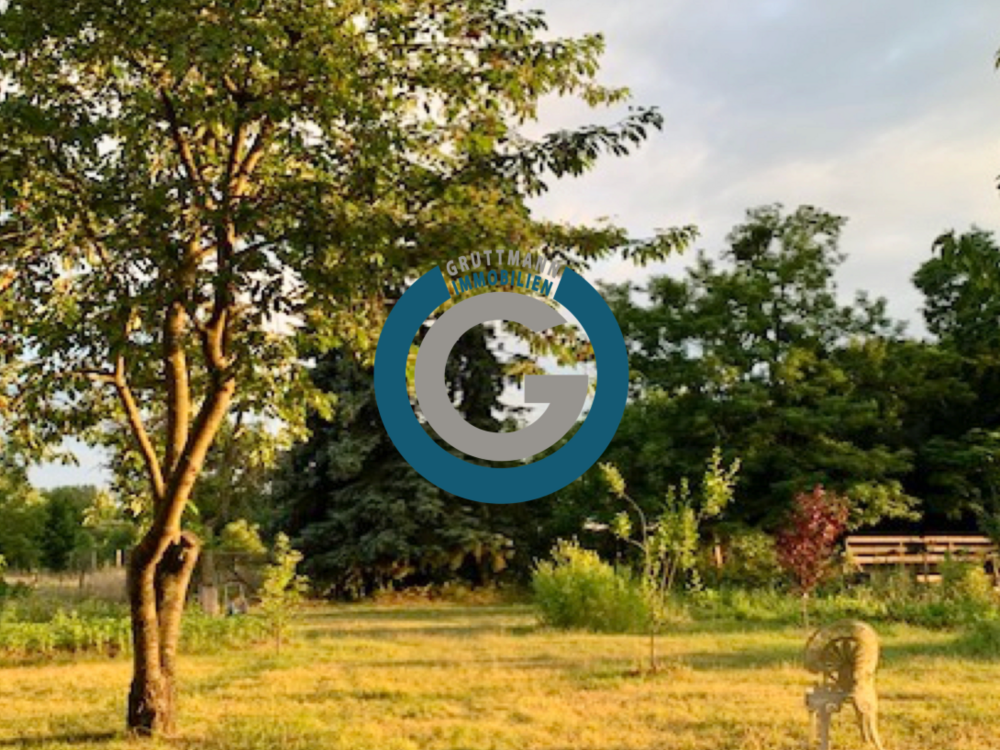 Thumbnail-Haus zum Kaufen in Liebenwalde 599.000,00 € 227 m²