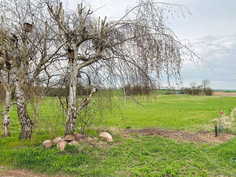 Thumbnail-Grundstück zu verkaufen in Petersberg 22.000,00 € 571 m²