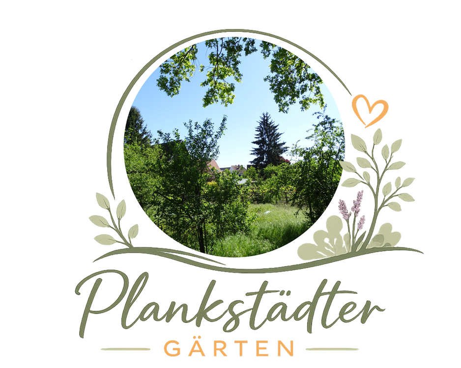 Thumbnail-Grundstück zu verkaufen in Plankstadt 145.000,00 € 122 m²