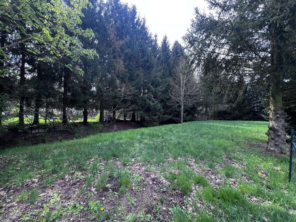 Thumbnail-Grundstück zu verkaufen in Bad Schmiedeberg 40.000,00 € 1109 m²