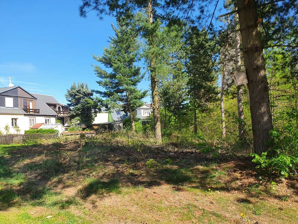 Thumbnail-Grundstück in Pöhlau 59.000,00 € 1250 m²