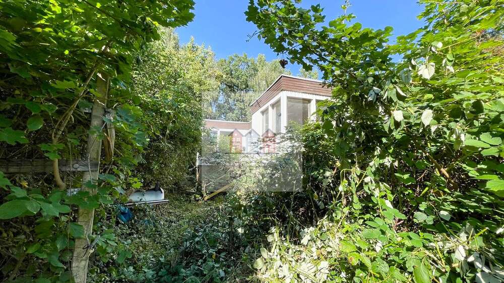 Thumbnail-Haus zum Kaufen in Bad Lausick 369.000,00 € 100 m²