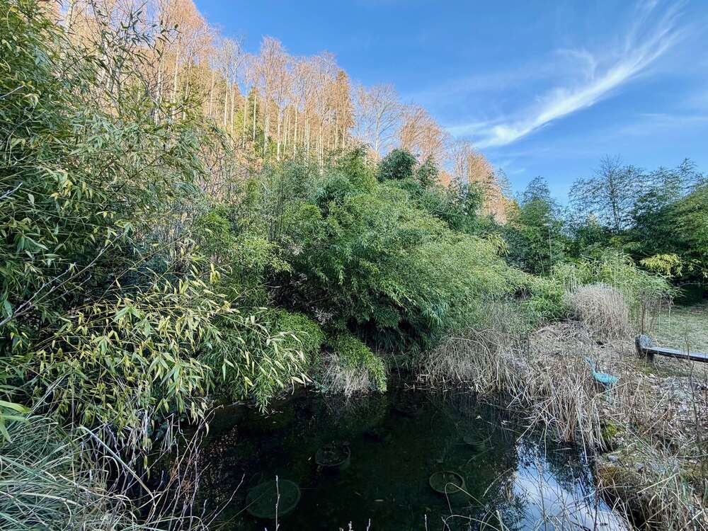 Thumbnail-Haus zum Kaufen in Oberried 750.000,00 € 292 m²