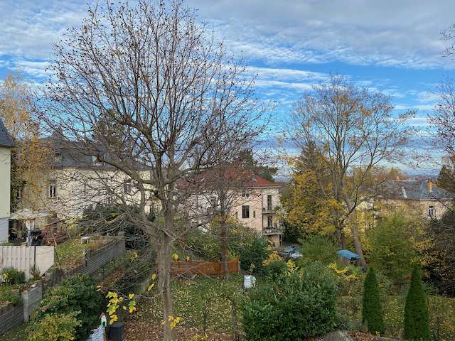 Thumbnail-Wohnung zum Mieten in Dresden 750,00 € 60.5 m²