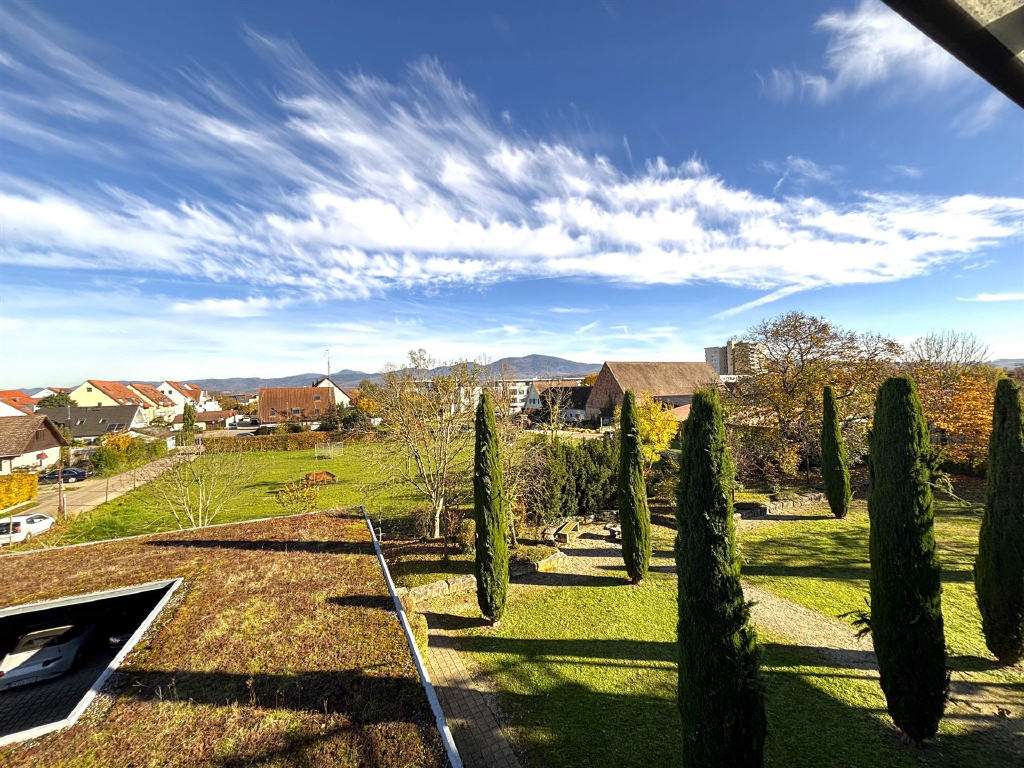 Thumbnail-Wohnung zum Kaufen in Neuenburg am Rhein 425.000,00 € 117.63 m²