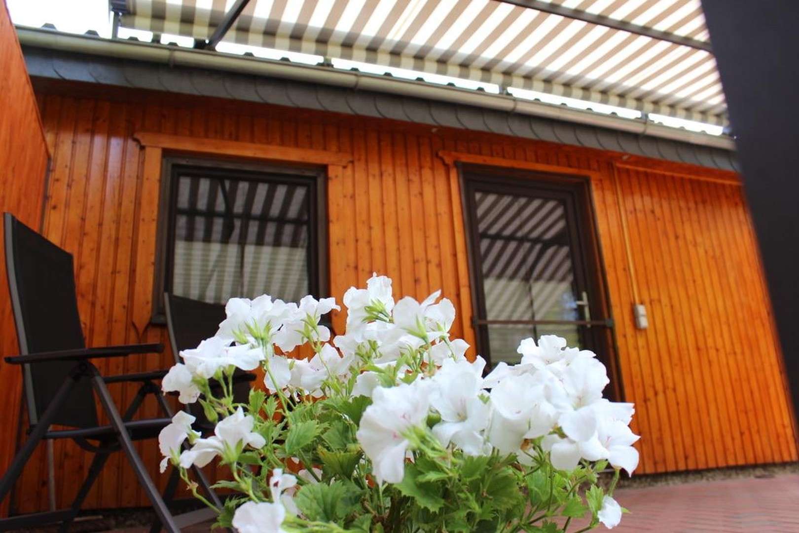 Thumbnail-Haus zum Kaufen in Heidenau 149.000,00 € 60 m²