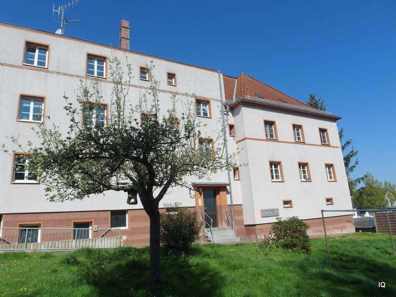 Thumbnail-Wohnung zum Mieten in Döbeln 342,00 € 57 m²