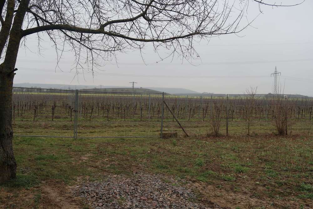 Thumbnail-Haus zum Kaufen in Gensingen 250.000,00 € 75 m²