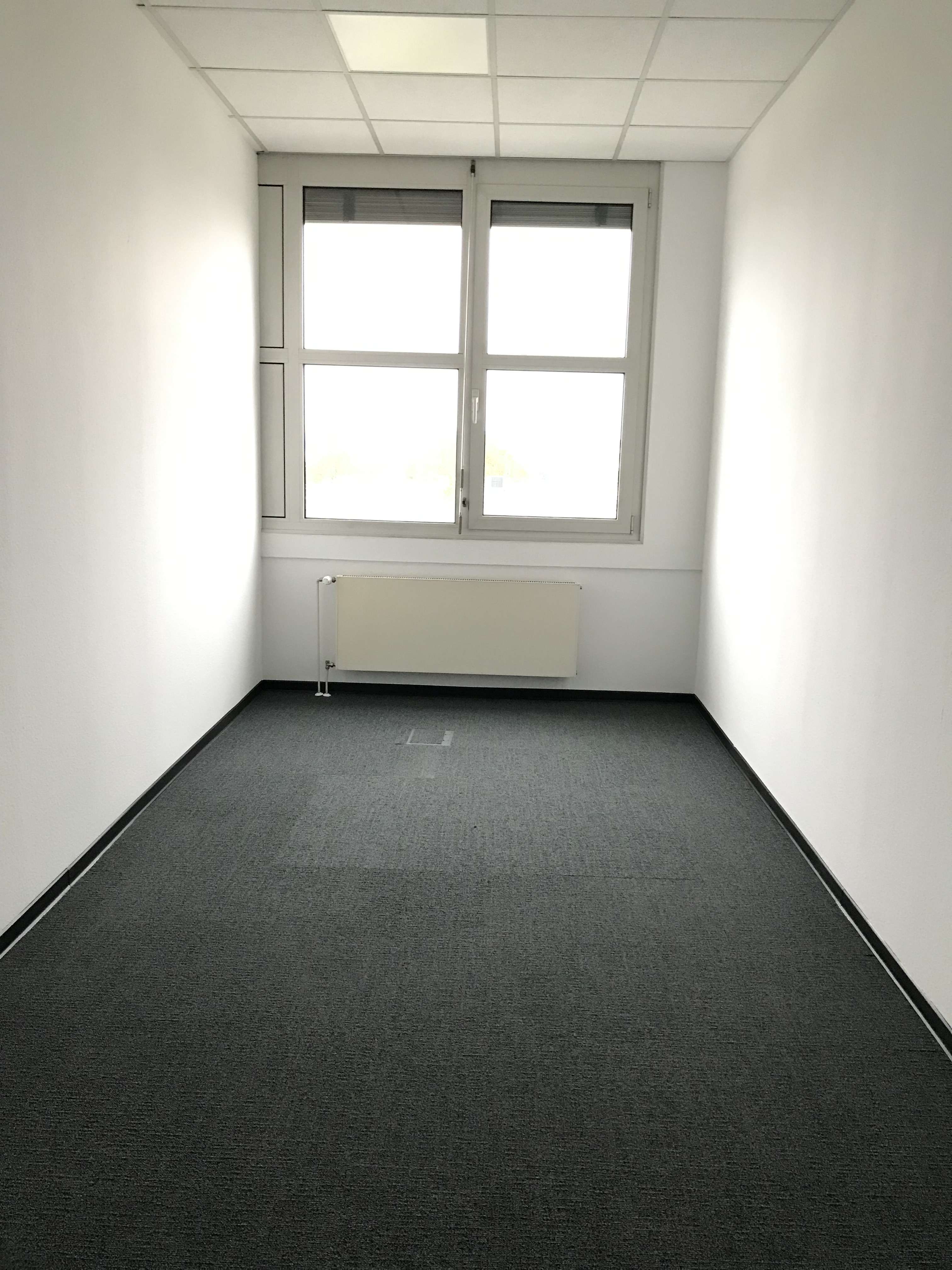 Thumbnail-Büro in Mainz-Kastel 339,00 € 20 m²