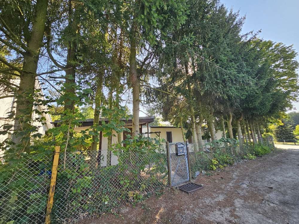 Thumbnail-Grundstück zu verkaufen in Falkensee 345.000,00 € 801 m²