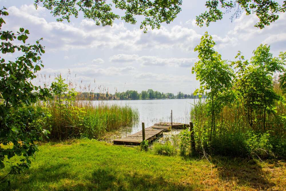 Thumbnail-Grundstück zu verkaufen in Schwerin 695.000,00 € 5082 m²