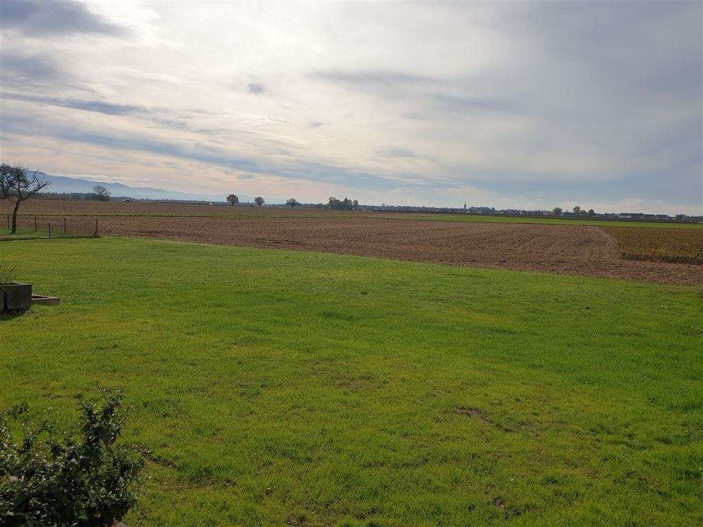 Thumbnail-Haus zum Kaufen in Rheinmünster 479.000,00 € 137 m²