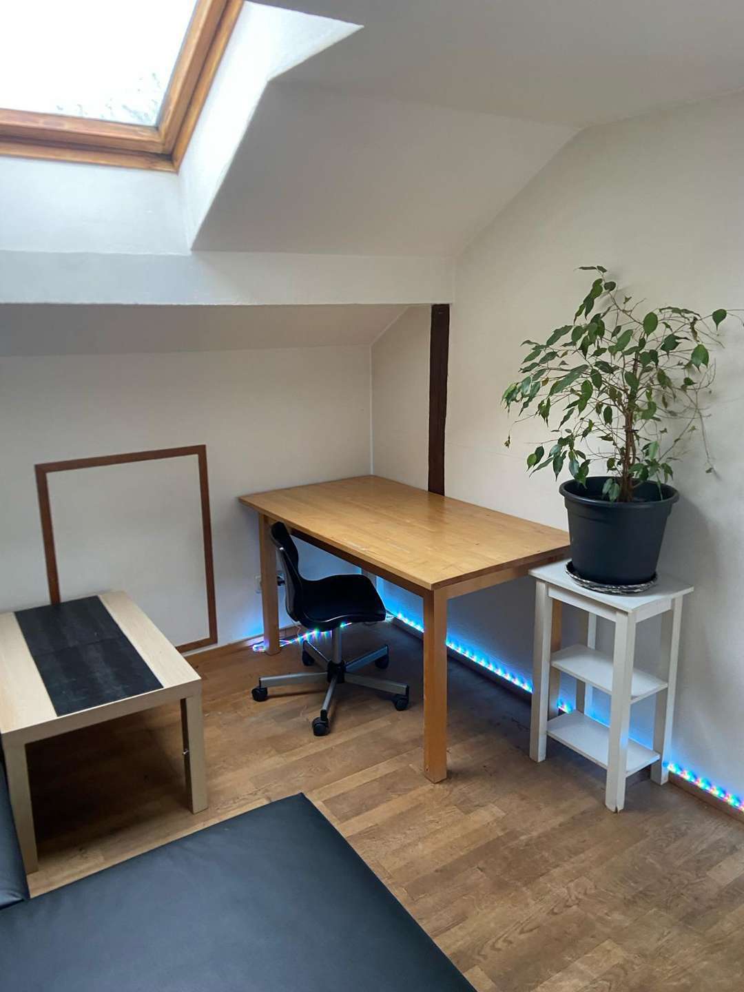 Thumbnail-Wohnung zum Mieten in Berlin 650,00 € 20 m²