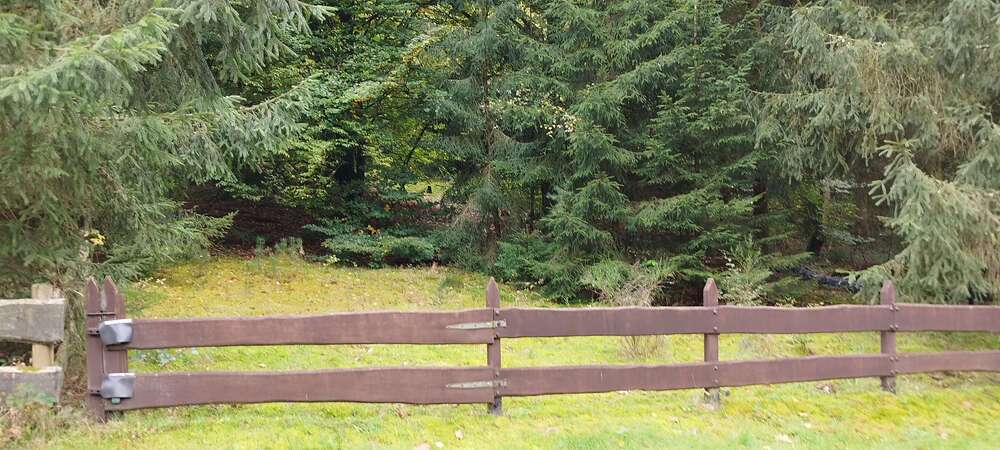 Thumbnail-Grundstück zu verkaufen in Frankenstein 9.000,00 € 850 m²