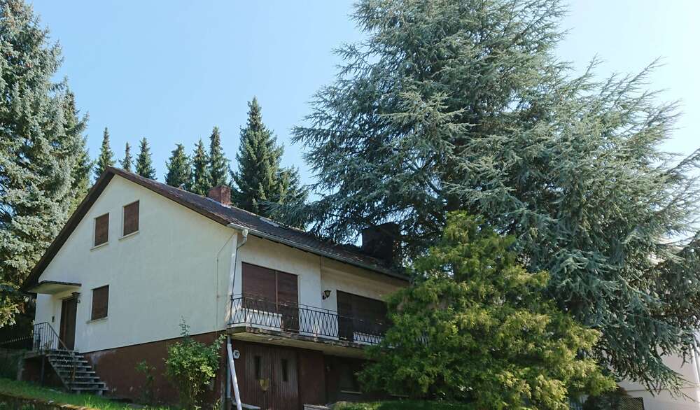 Thumbnail-Haus zum Kaufen in Dielheim 525.000,00 € 316 m²