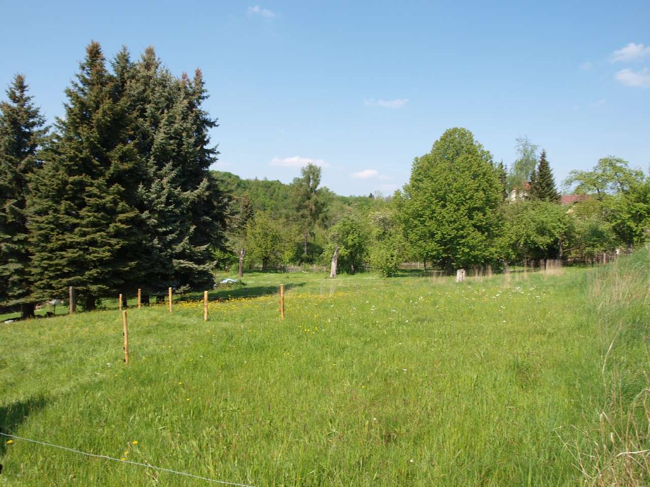 Thumbnail-Grundstück zu verkaufen in Limbach-Oberfrohna 58.000,00 € 1000 m²