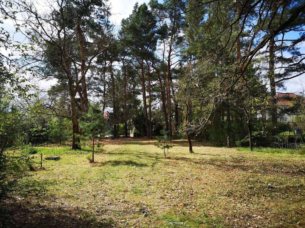 Thumbnail-Grundstück zu verkaufen in Berlin 550.000,00 € 1136 m²