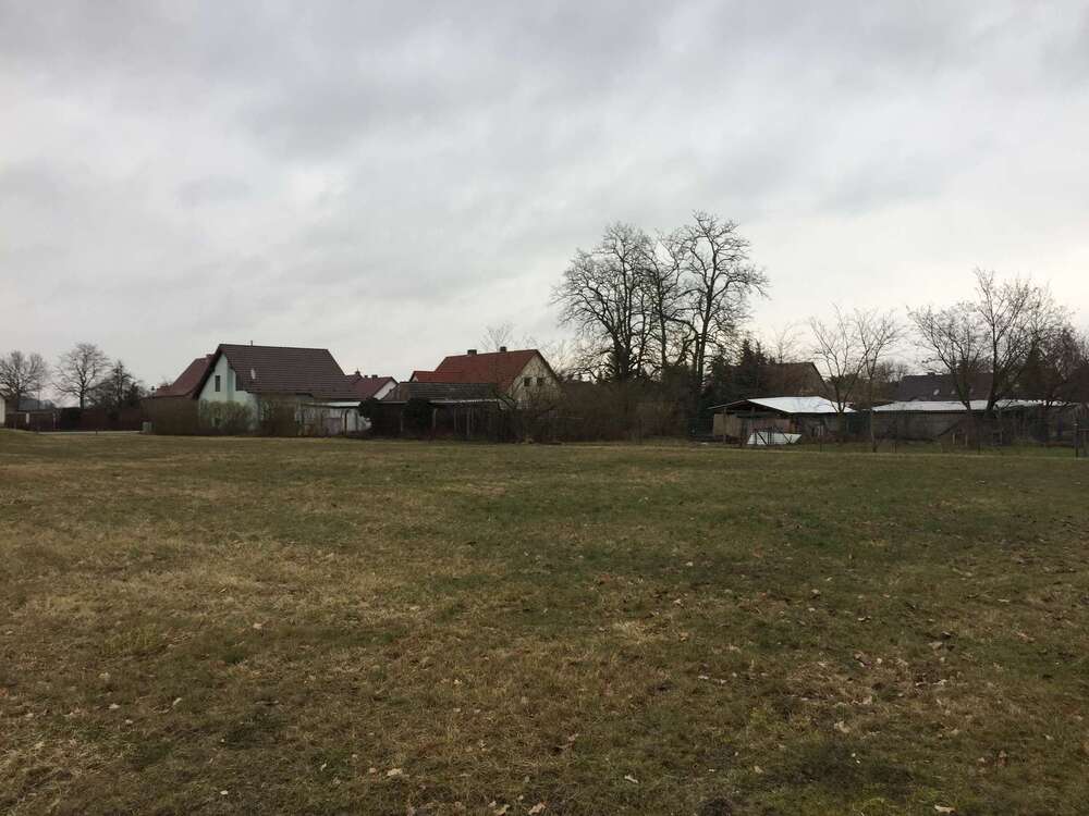 Thumbnail-Grundstück zu verkaufen in Beeskow 99.990,00 € 1111 m²