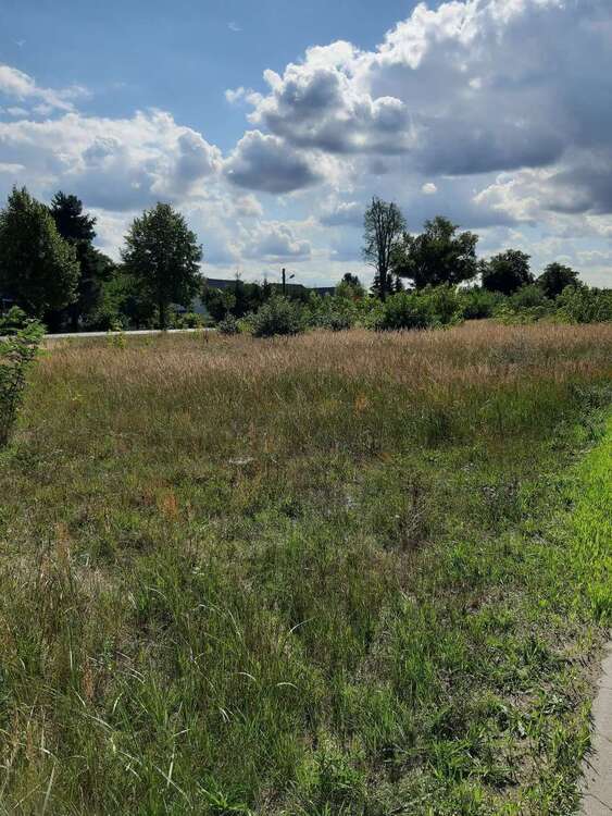 Thumbnail-Grundstück zu verkaufen in Friedland 82.990,00 € 1065 m²