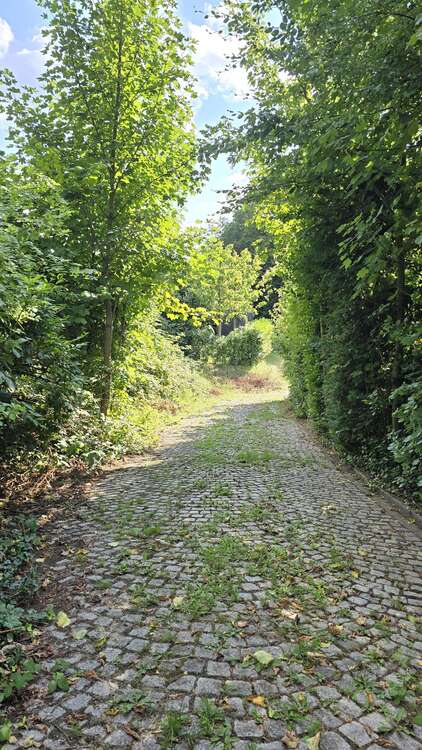 Thumbnail-Grundstück zu verkaufen in Bochum 795.000,00 € 3482 m²