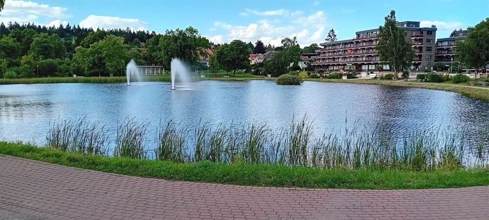 Thumbnail-Wohnung zum Kaufen in Goslar 39.000,00 € 38 m²