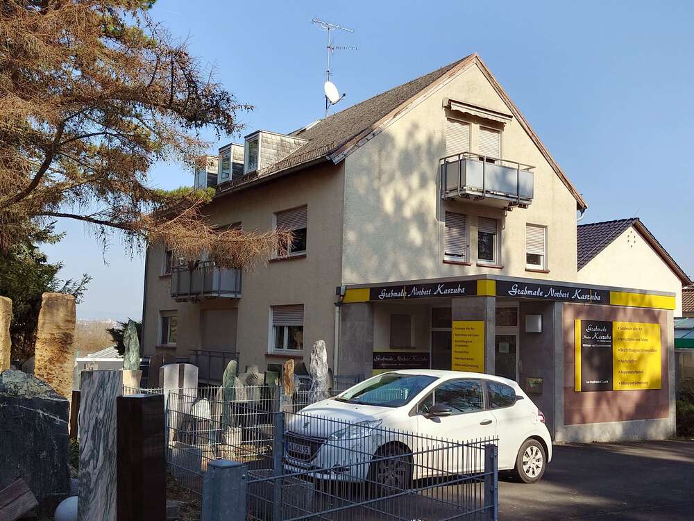 Thumbnail-Haus zum Kaufen in Mainz 1.350.000,00 € 300 m²