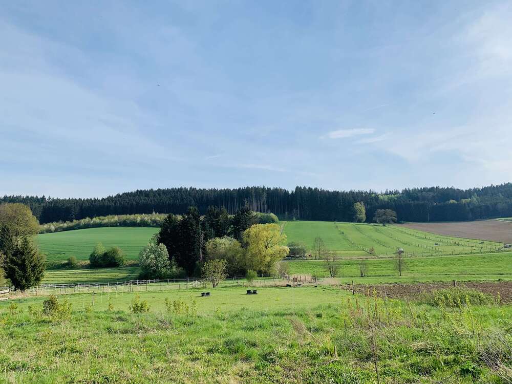 Thumbnail-Grundstück zu verkaufen in Rettenbergen 650.000,00 € 1229 m²