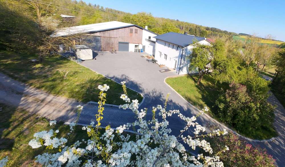 Thumbnail-Haus zum Kaufen in Buchen 1.090.000,00 € 180 m²