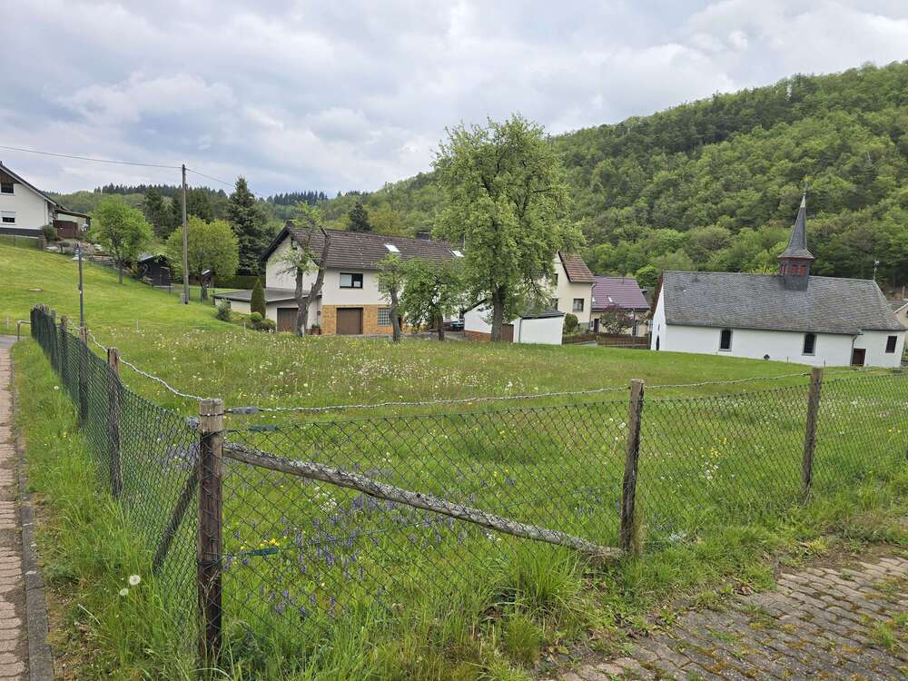 Thumbnail-Grundstück zu verkaufen in AdenauBreidscheid 135.000,00 € 457 m²