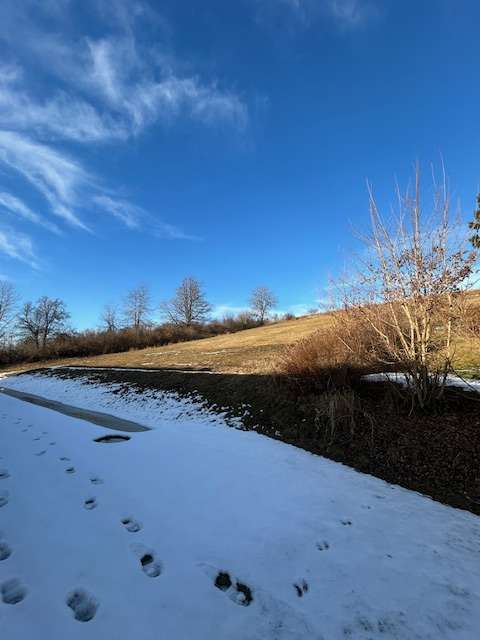 Thumbnail-Grundstück zu verkaufen in Passau 1.000.000,00 € 2500 m²