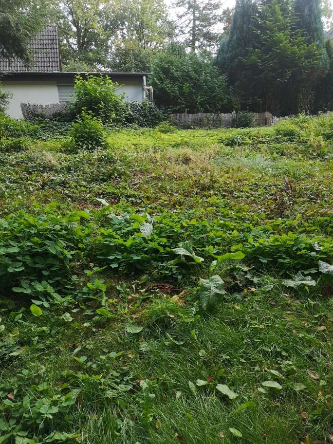 Thumbnail-Grundstück zu verkaufen in Hamburg 625.000,00 € 996 m²