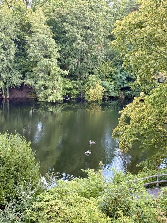 Thumbnail-Haus zum Mieten in Berlin 5.600,00 € 210 m²