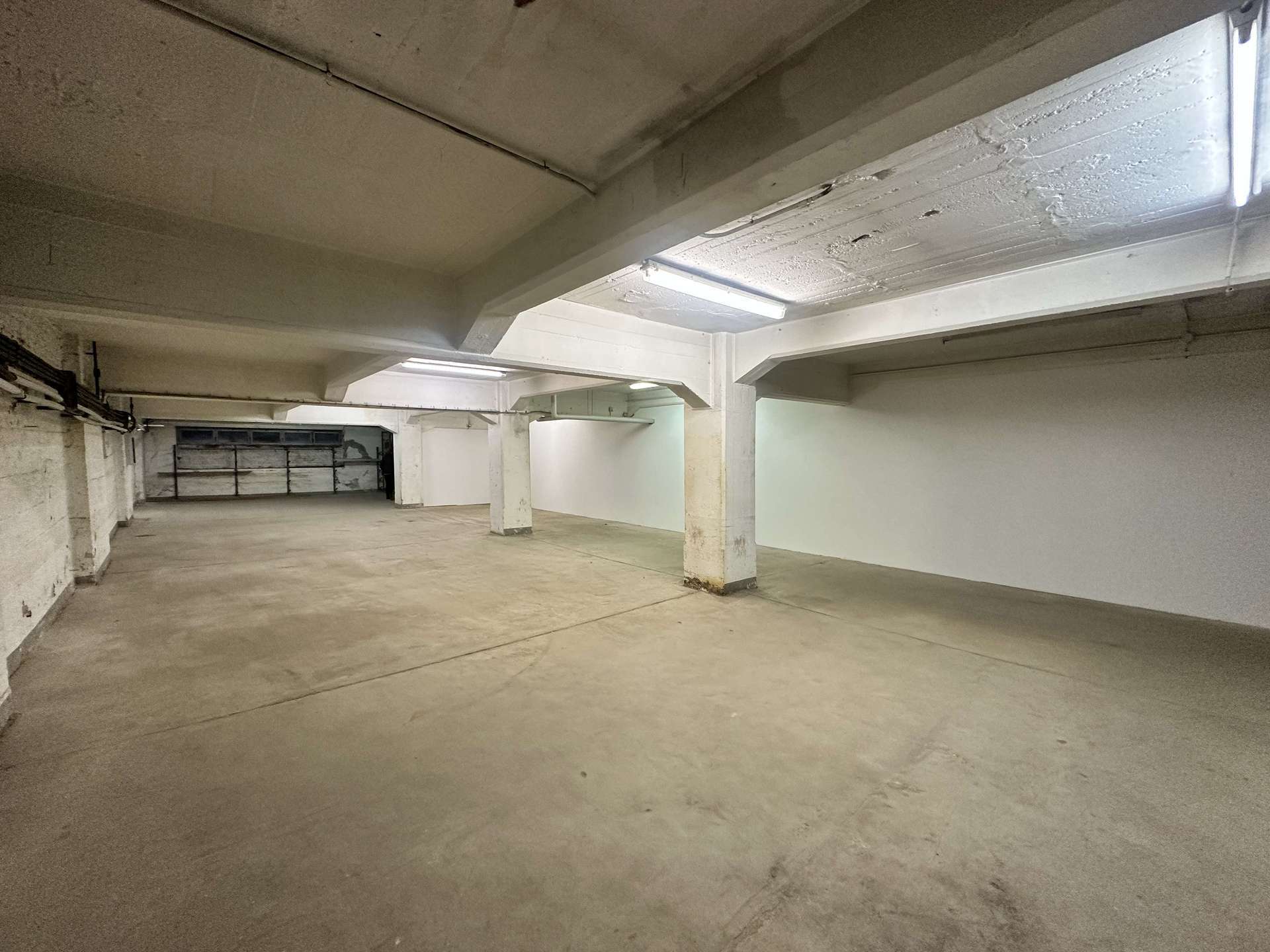 Thumbnail-Halle in Ludwigshafen am Rhein 1.235,00 € 275 m²