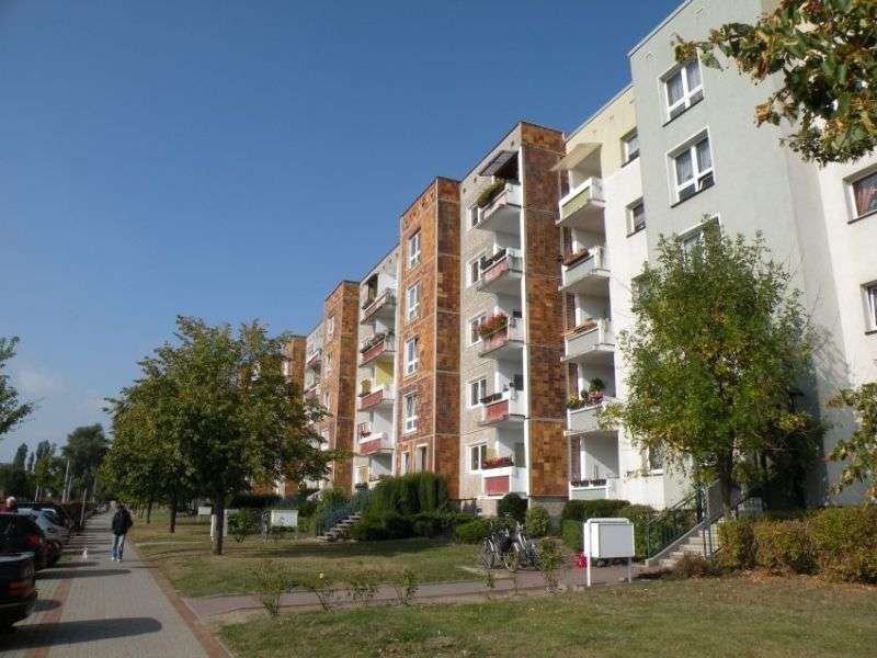 Thumbnail-Wohnung zum Mieten in Stralsund 361,08 € 65.65 m²