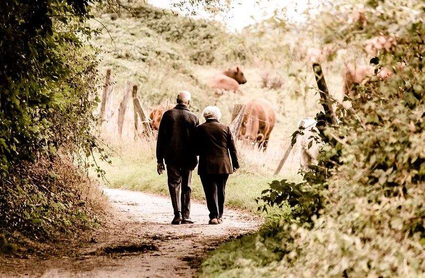 Thumbnail-Haus zum Kaufen in Chemnitz 12.000.000,00 € 4800 m²