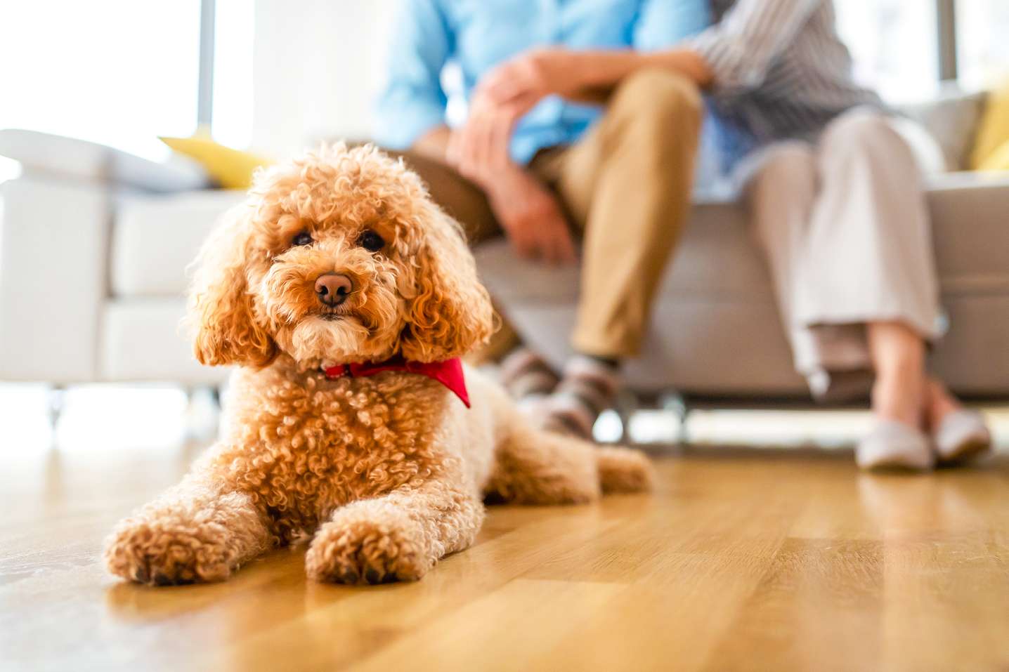 Thumbnail-Wohnung zum Kaufen in Eltville am Rhein 475.900,00 € 62.06 m²