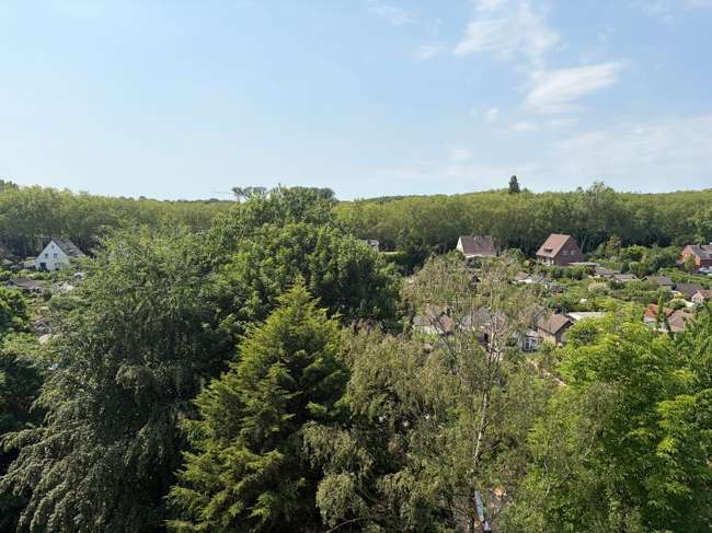 Thumbnail-Wohnung zum Kaufen in Duisburg 65.000,00 € 51.29 m²