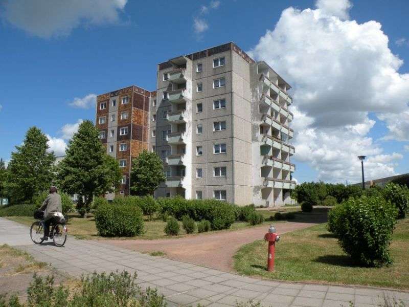 Thumbnail-Wohnung zum Mieten in Stralsund 275,66 € 39.38 m²