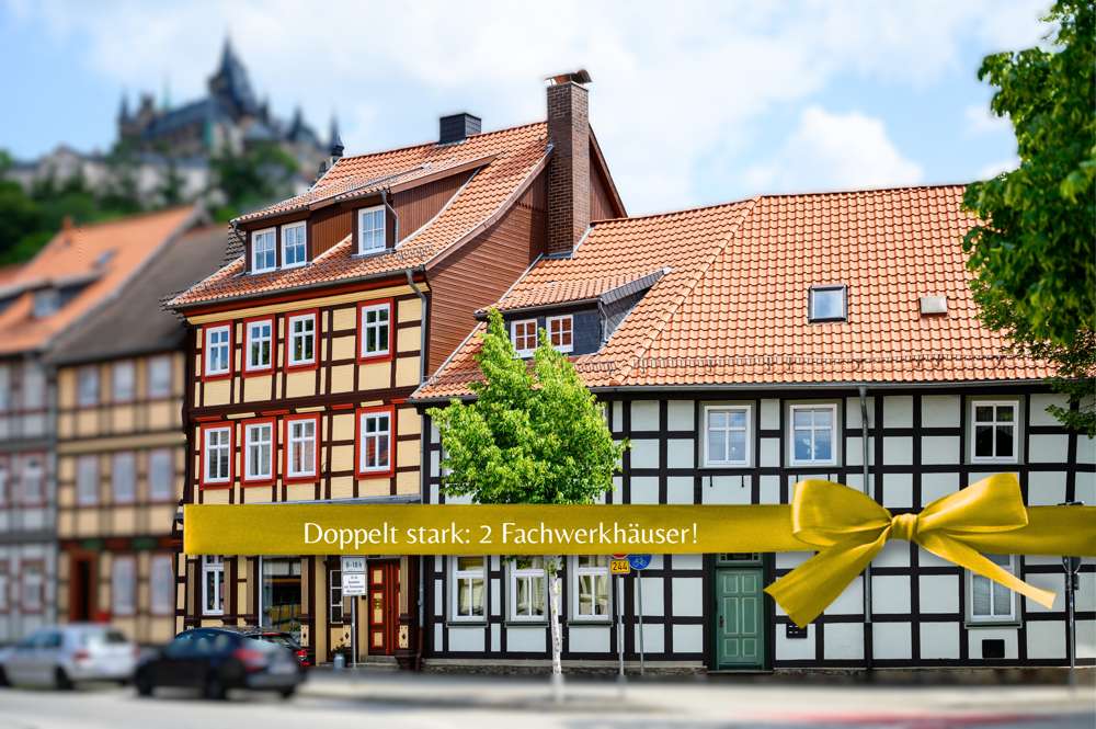 Thumbnail-Haus zum Kaufen in Wernigerode 749.000,00 € 380 m²