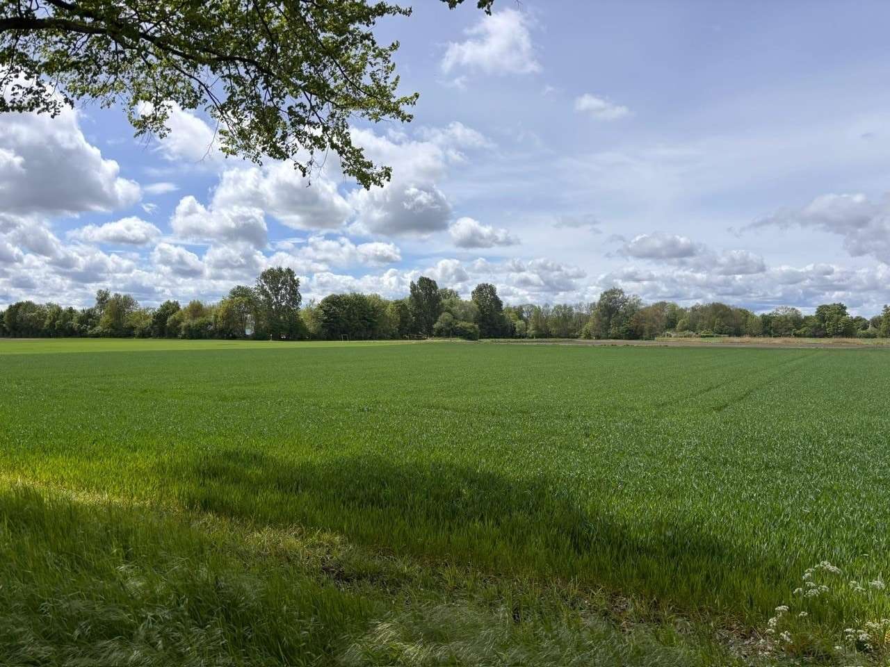 Thumbnail-Grundstück in Ismaning 576.125,00 € 4609 m²