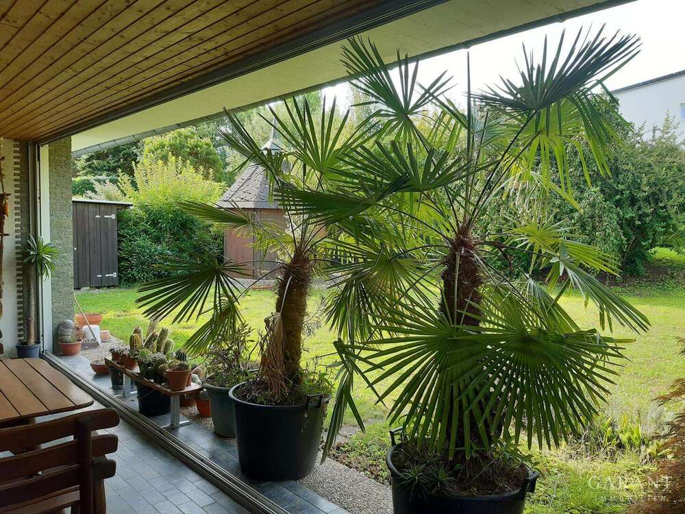 Thumbnail-Haus zum Kaufen in Karlsruhe 750.000,00 € 168 m²