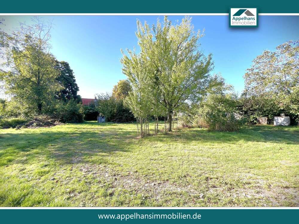 Thumbnail-Haus zum Kaufen in Bramsche 584.900,00 € 443 m²