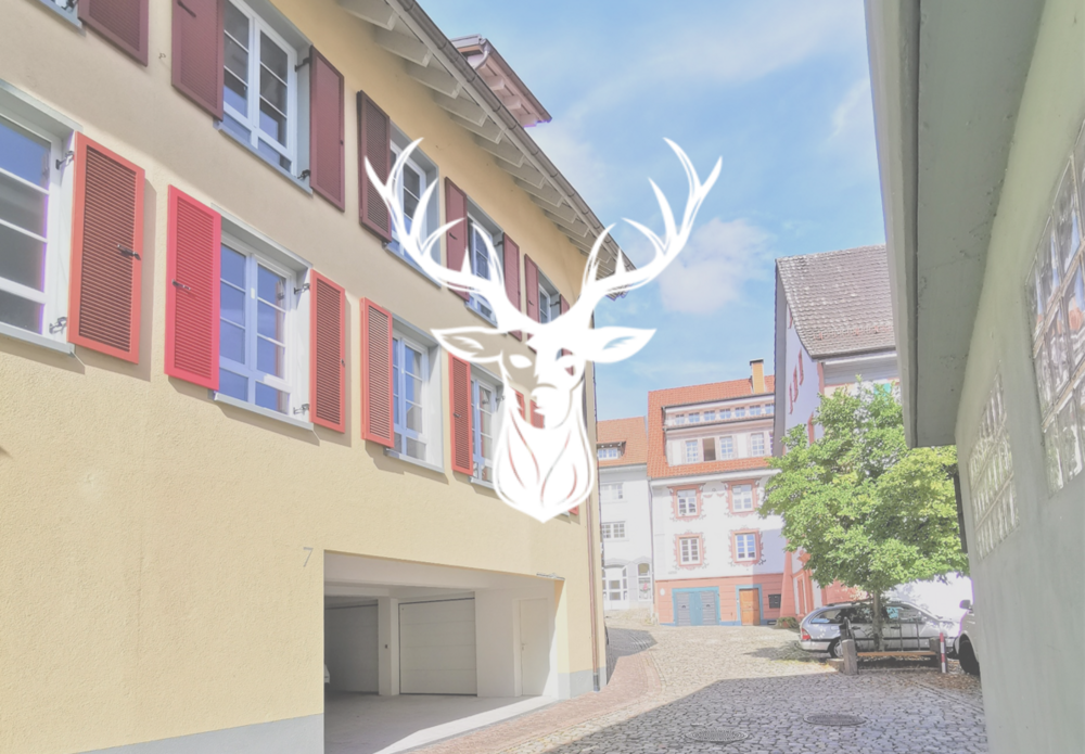 Thumbnail-Wohnung zum Mieten in Waldshut- Tiengen 1.200,00 € 105 m²