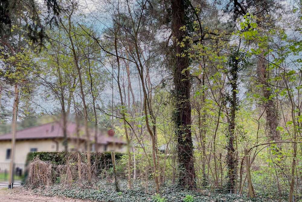 Thumbnail-Grundstück zu verkaufen in Königs Wusterhausen 359.000,00 € 1024 m²