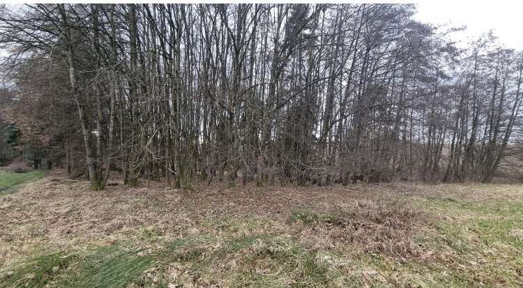 Thumbnail-Grundstück in Windorf 26.160,00 € 4360 m²