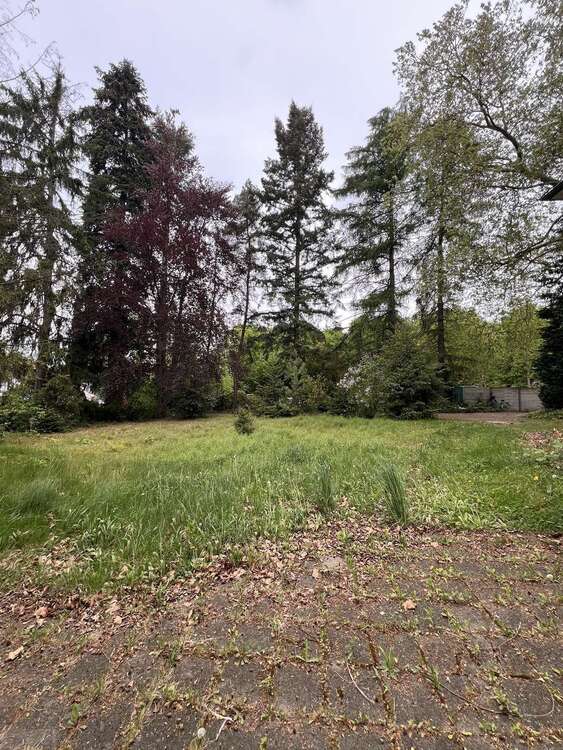 Thumbnail-Grundstück zu verkaufen in Rheinbreitbach 1.038.000,00 € 2256 m²