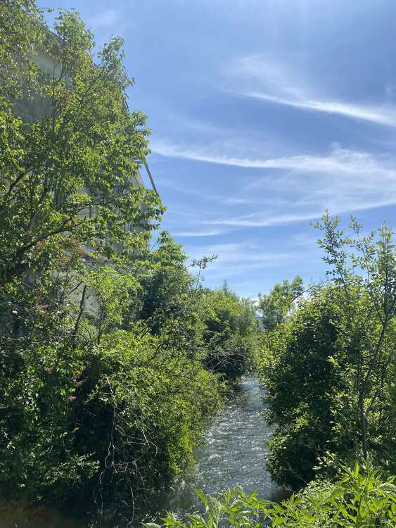 Thumbnail-Haus zum Kaufen in Ainring 890.000,00 € 318 m²