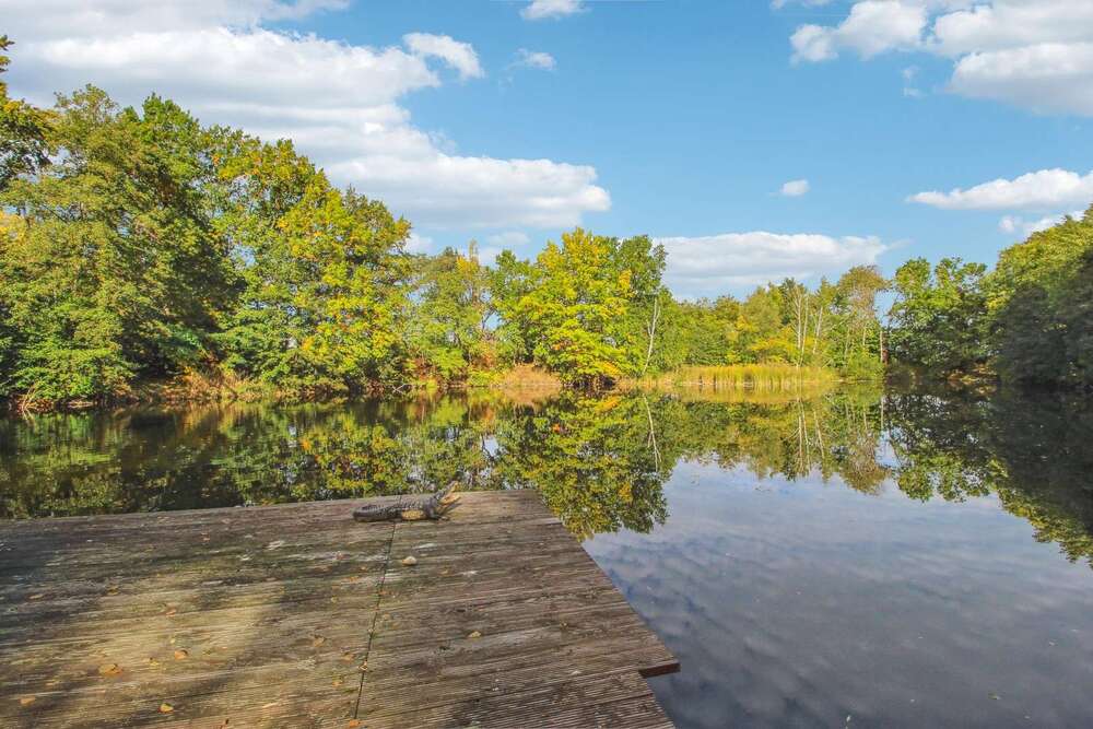 Thumbnail-Haus zum Kaufen in Am Mellensee 1.290.000,00 € 234 m²