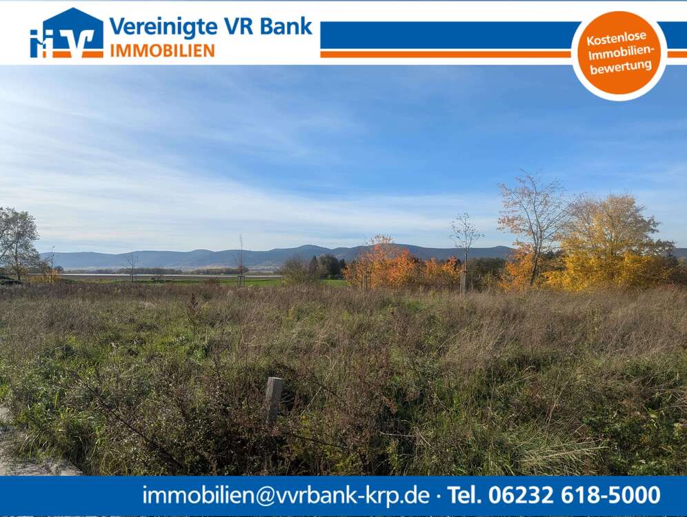 Thumbnail-Grundstück zu verkaufen in Neustadt 487.500,00 € 650 m²