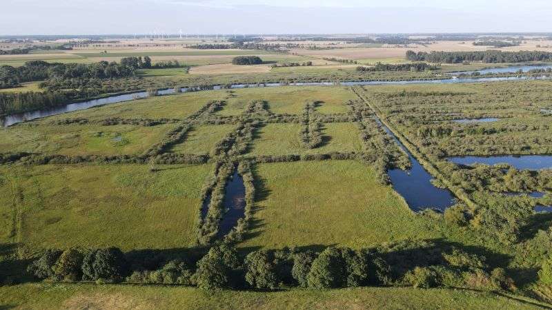 Thumbnail-Haus zum Kaufen in Stolpe an der Peene 149.500,00 € 153 m²